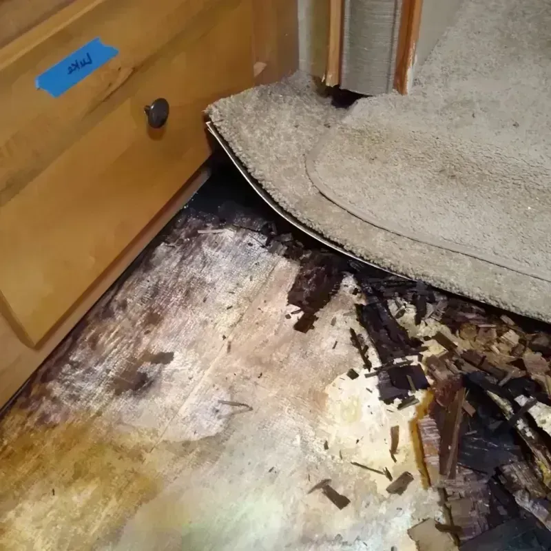 Best Wood Floor Water Damage Service in Bee Cave, TX